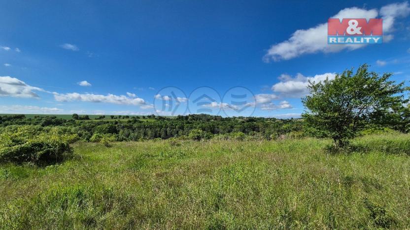 Prodej pozemku pro bydlení, Hrušovany, 30076 m2