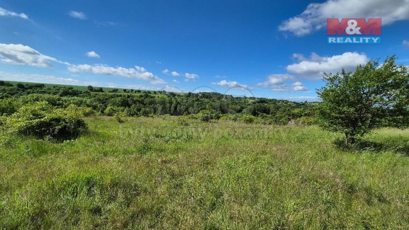 Prodej pozemku pro bydlení, Hrušovany, 30076 m2