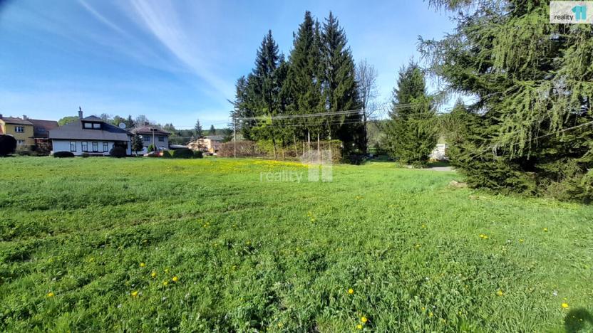 Prodej pozemku pro bydlení, Police nad Metují - Hony, 595 m2