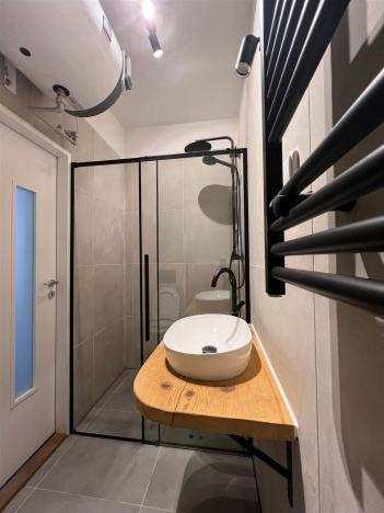 Pronájem bytu 3+kk, Mladá Boleslav - Čejetičky, Vinecká, 46 m2