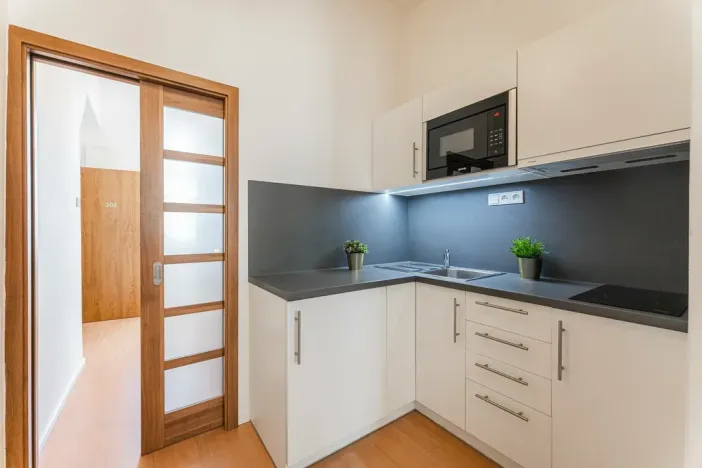 Pronájem bytu 1+kk, Praha - Žižkov, Chlumova, 35 m2