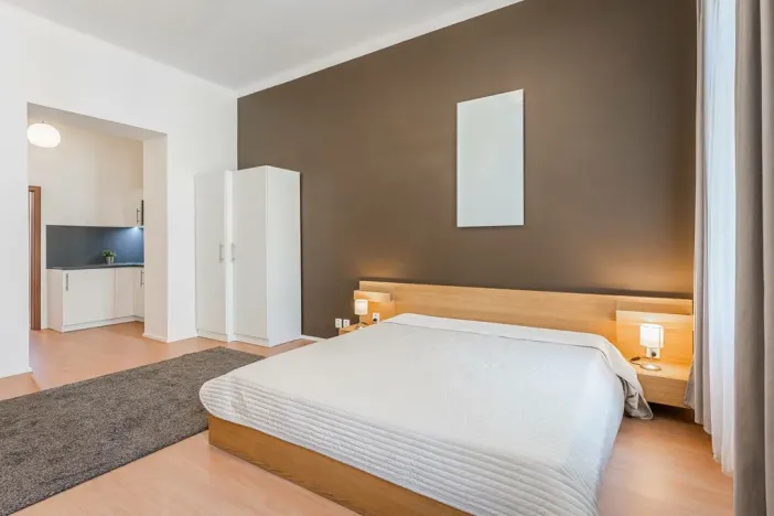 Pronájem bytu 1+kk, Praha - Žižkov, Chlumova, 35 m2