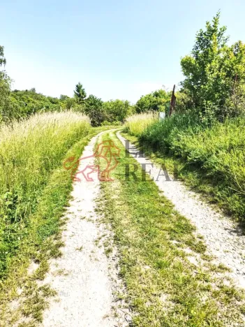 Prodej zahrady, Slavkov u Brna, Palackého náměstí, 595 m2