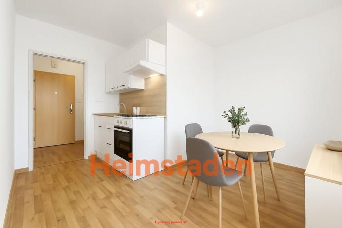 Pronájem bytu 1+1, Karviná - Nové Město, Jaroslava Vrchlického, 40 m2