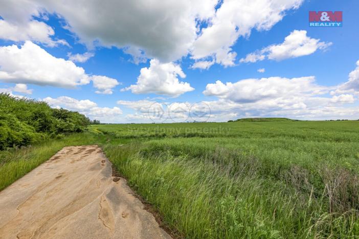 Prodej pole, Dobrovíz, 5578 m2