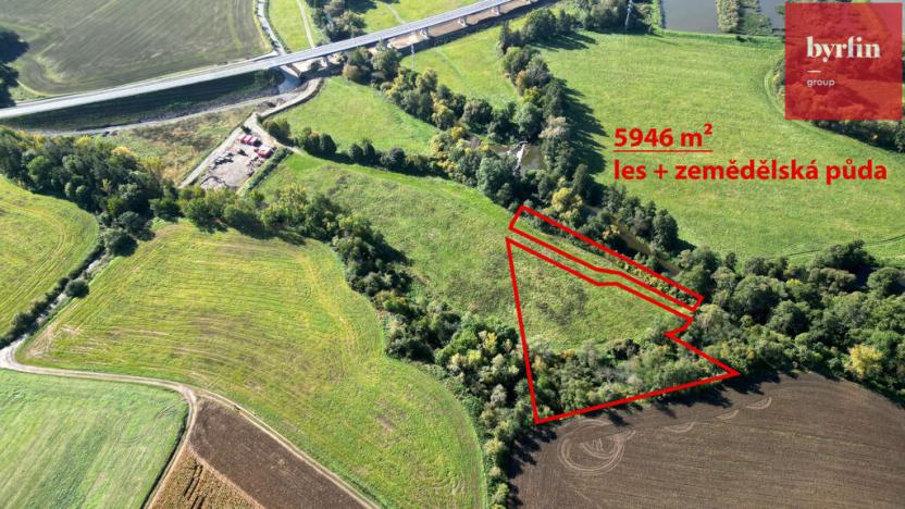 Prodej lesa, Opava, 5946 m2