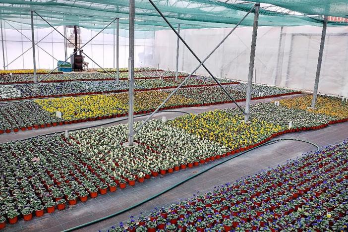 Prodej komerční nemovitosti, Miřetice, 956 m2