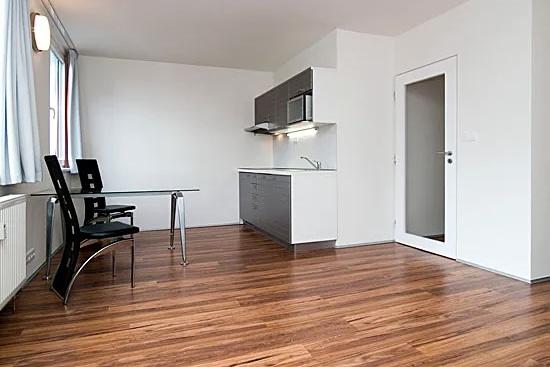 Pronájem bytu 1+kk, Praha - Karlín, Molákova, 36 m2