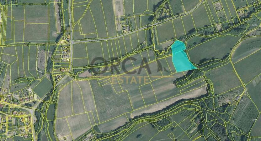 Prodej pole, Březůvky, 15992 m2