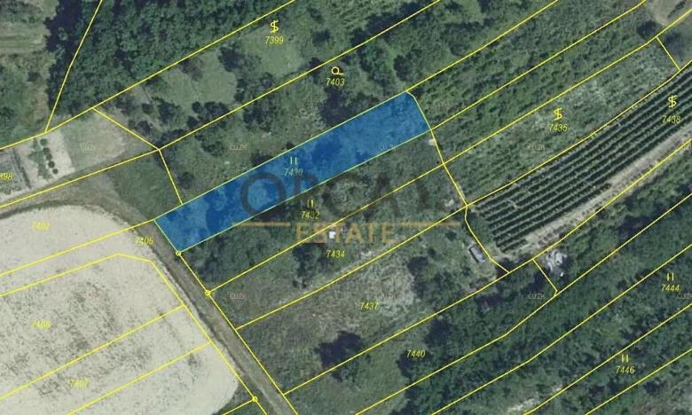 Prodej sadu/vinice, Velké Němčice, 2803 m2