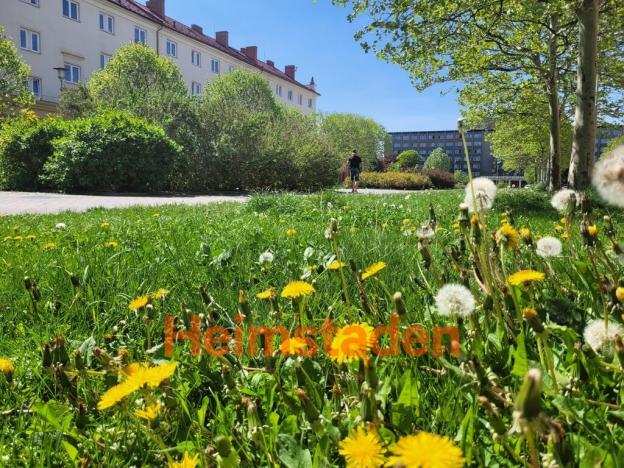 Pronájem kanceláře, Karviná - Nové Město, nám. Budovatelů, 49 m2