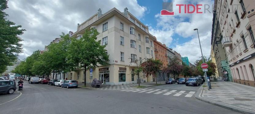 Pronájem bytu 5+1, Praha - Dejvice, Jaselská, 250 m2