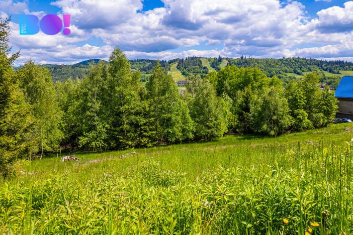 Prodej pozemku pro bydlení, Mosty u Jablunkova, 5690 m2