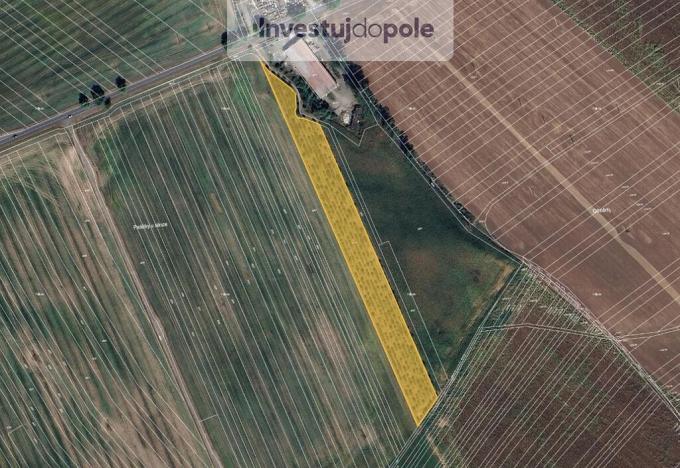 Prodej pozemku, Šardice, 11718 m2