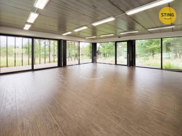 Prodej komerční nemovitosti, Český Těšín, 223 m2