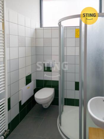 Prodej komerční nemovitosti, Český Těšín, 223 m2