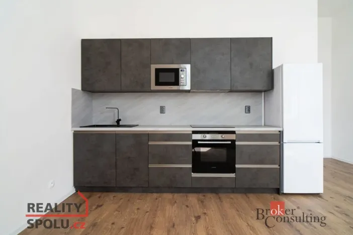 Pronájem bytu 2+kk, Ostrava - Přívoz, Palackého, 53 m2