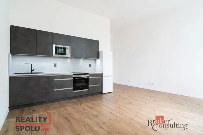 Pronájem bytu 2+kk, Ostrava - Přívoz, Palackého, 53 m2