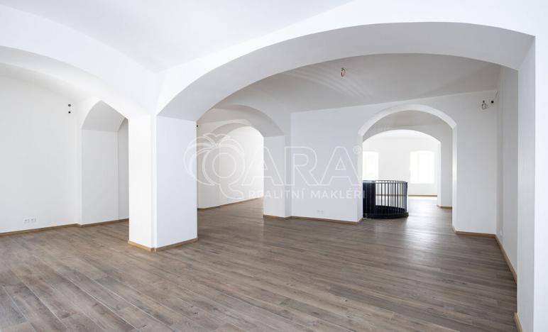 Pronájem obchodního prostoru, Praha - Nové Město, Truhlářská, 379 m2