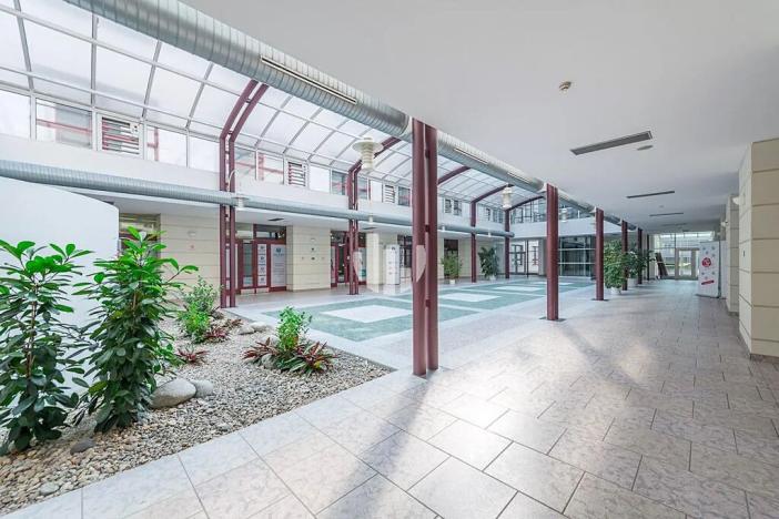 Pronájem kanceláře, Praha - Karlín, Sokolovská, 290 m2