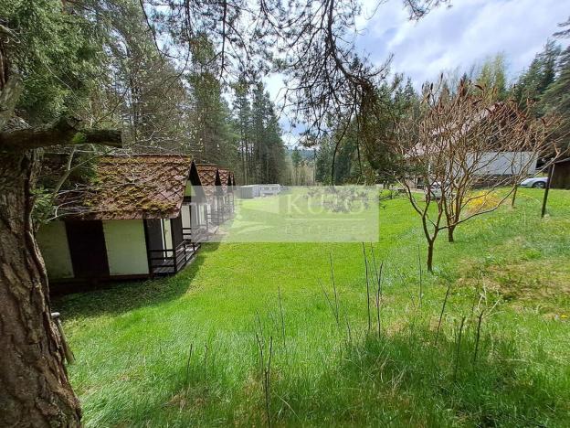 Prodej vícegeneračního domu, Zbytiny - Blažejovice, 453 m2