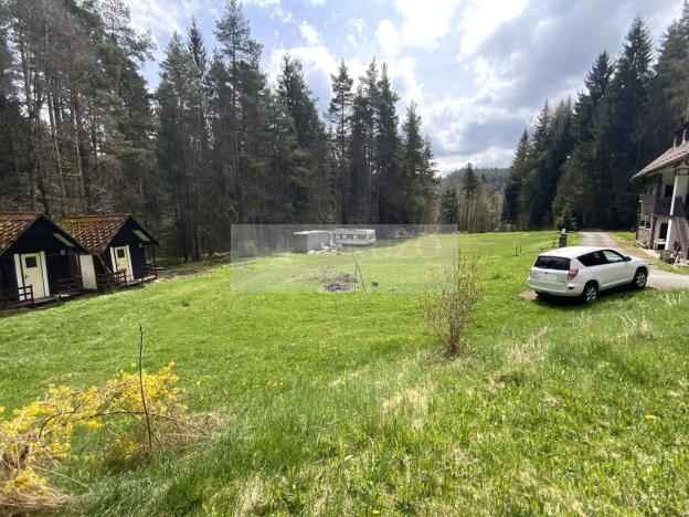 Prodej vícegeneračního domu, Zbytiny - Blažejovice, 453 m2