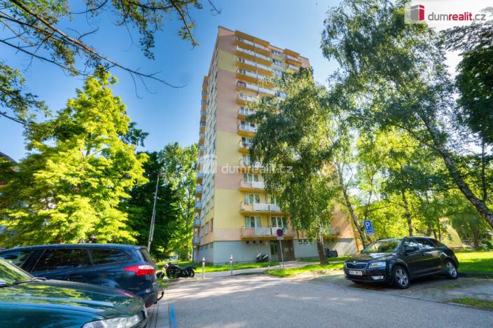 Pronájem bytu 1+1, České Budějovice - České Budějovice 3, Čéčova, 52 m2