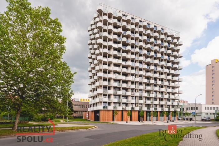 Pronájem bytu 4+kk, Plzeň, U Borského parku, 118 m2