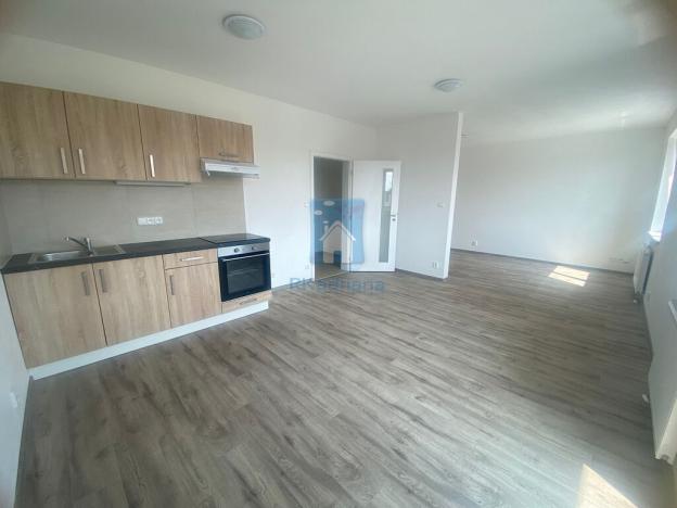 Pronájem bytu 1+kk, Plzeň, Železniční, 46 m2