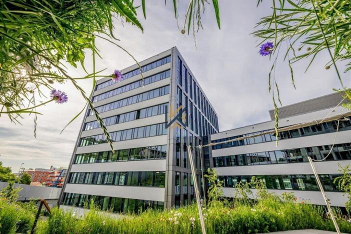 Pronájem kanceláře, Praha - Smíchov, Plzeňská, 800 m2