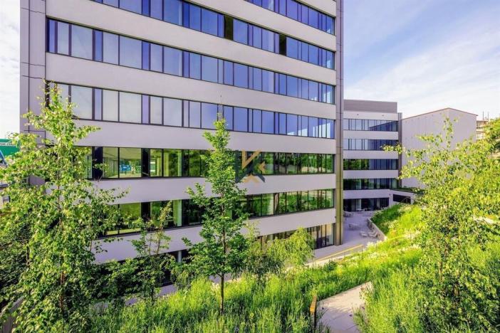 Pronájem kanceláře, Praha - Smíchov, Plzeňská, 500 m2