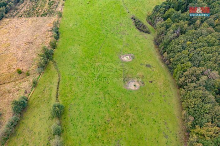 Prodej louky, Spálené Poříčí - Struhaře, 5843 m2