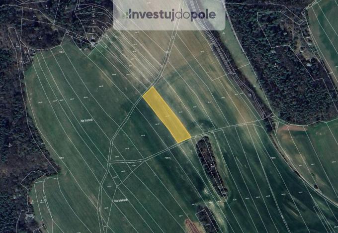 Prodej pole, Letovice - Slatinka, 2943 m2