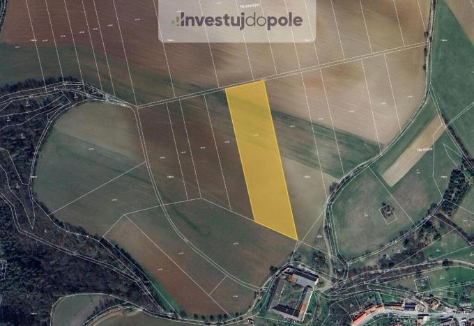 Prodej pole, Letovice - Slatinka, 12248 m2