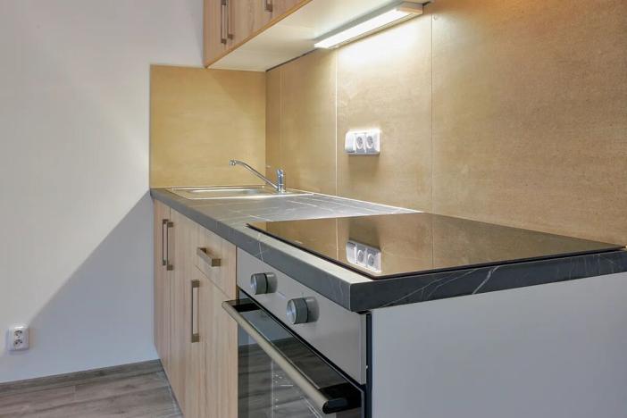 Pronájem bytu 1+kk, Plzeň, Železniční, 43 m2