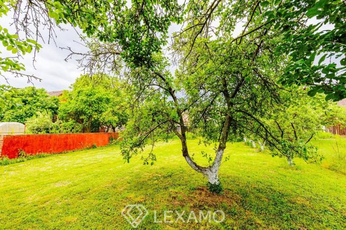 Prodej rodinného domu, Únanov, 100 m2