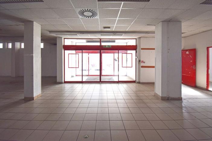 Pronájem obchodního prostoru, Plzeň - Lobzy, Sousedská, 1250 m2