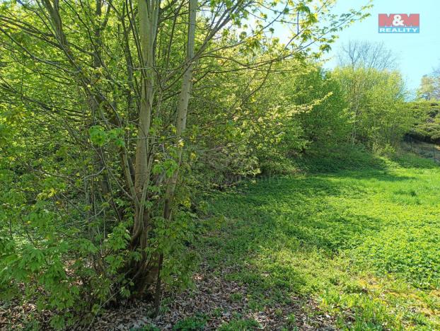 Prodej louky, Rychnov nad Kněžnou, 2141 m2