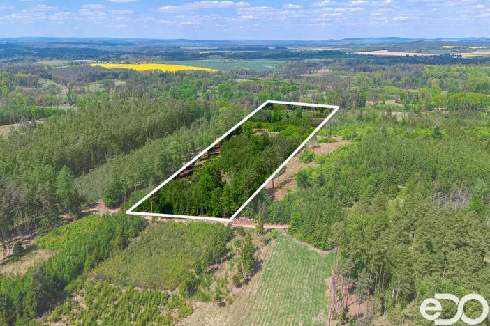 Prodej lesa, Jetětice, 79500 m2