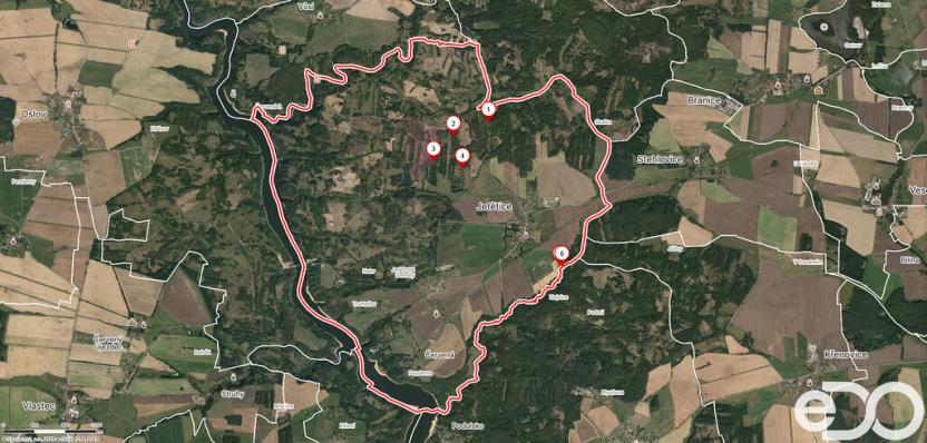 Prodej lesa, Jetětice, 79500 m2