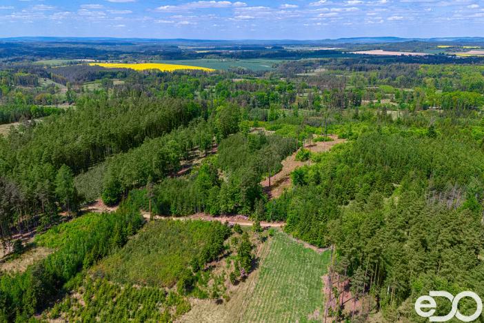 Prodej lesa, Jetětice, 79500 m2