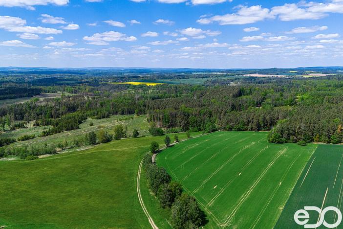 Prodej lesa, Jetětice, 79500 m2