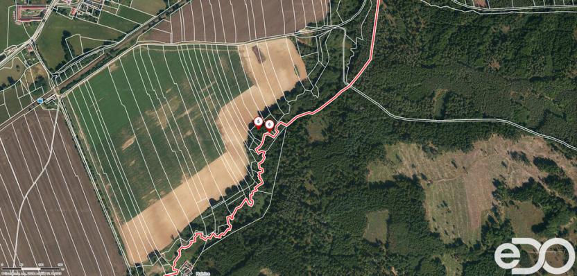 Prodej lesa, Jetětice, 79500 m2