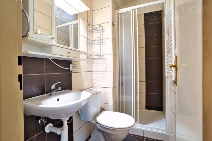 Pronájem bytu 1+kk, Moravský Beroun, Partyzánská, 20 m2