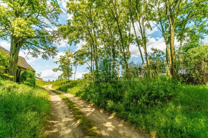 Prodej pozemku pro bydlení, Ledčice, 3164 m2