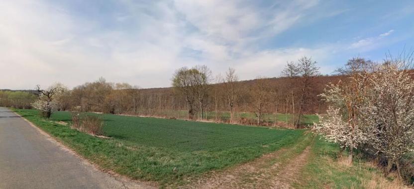 Prodej louky, Jičíněves, 20868 m2