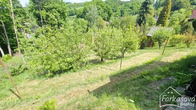 Prodej chaty, Albrechtice, 381 m2