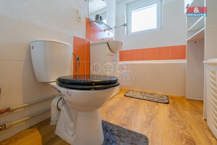 Pronájem bytu 1+1, Horní Slavkov, Dlouhá, 49 m2