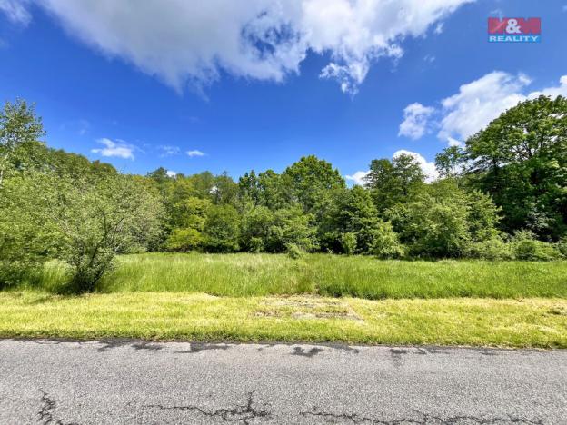 Prodej rybníku, Skalice u České Lípy, 3255 m2