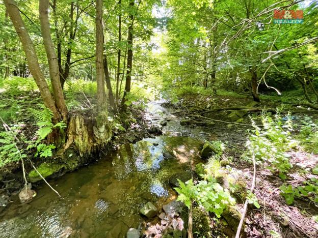 Prodej rybníku, Skalice u České Lípy, 3255 m2